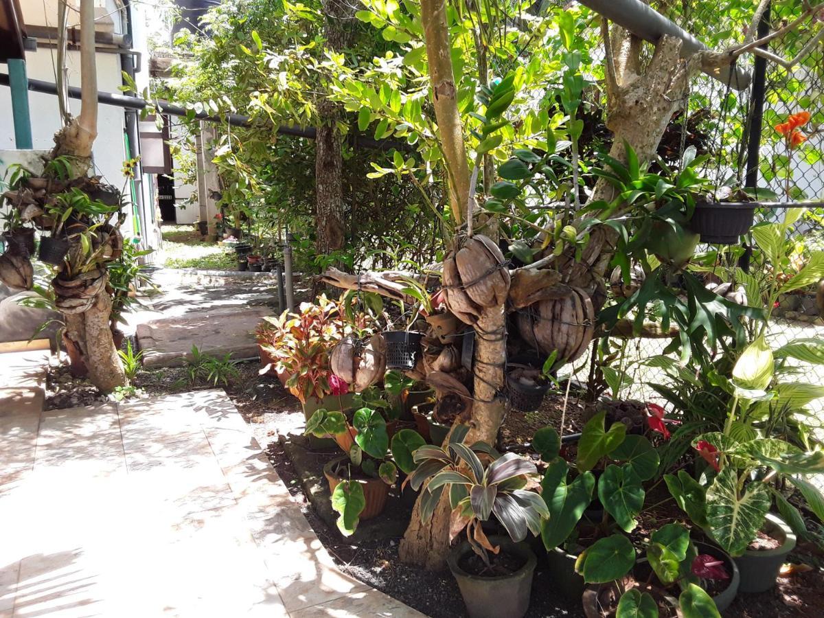 Karl Holiday Bungalow Kalutara Exterior photo